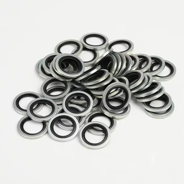 بست فيتنج واشرات BSP 1/8 5Pk