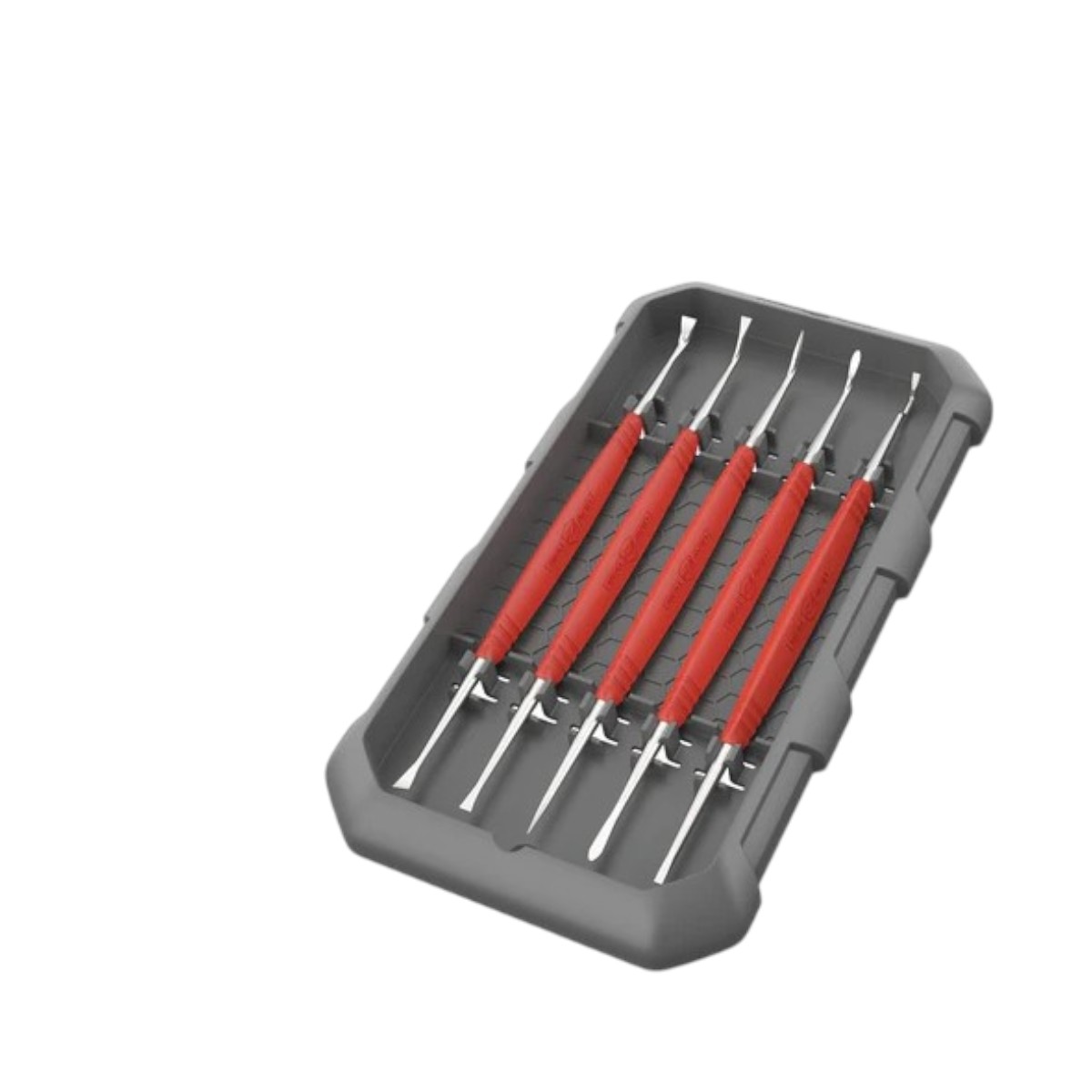 REALAVID نتاشه ستيل